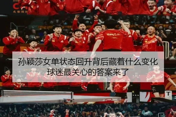 孙颖莎女单状态回升背后藏着什么变化 球迷最关心的答案来了